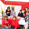 fiestarojoyblanco2011-077