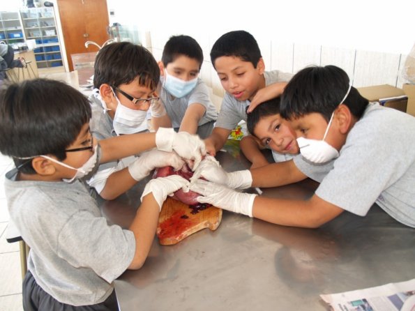 laboratorio-de-c.a.-4bp-003
