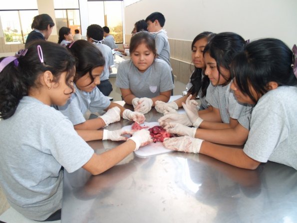 laboratorio-de-c.a.-4bp-009