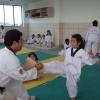 dsc05320